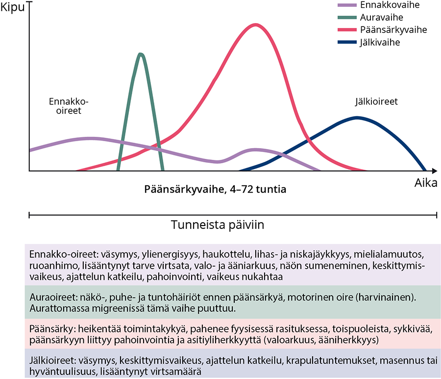 Migreenikohtauksen vaiheet